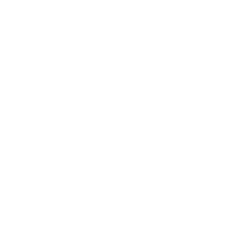 The GitHub logo.