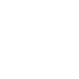 The LinkedIn logo.